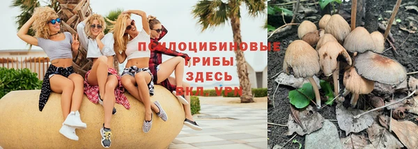 дживик Алзамай