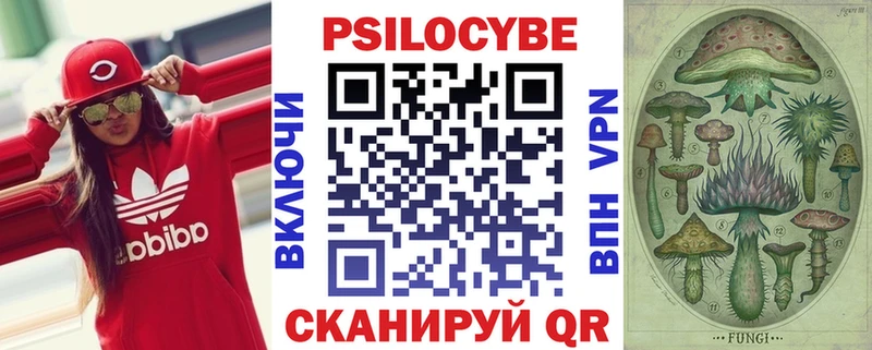 Купить Брянск Псилоцибиновые грибы мицелий